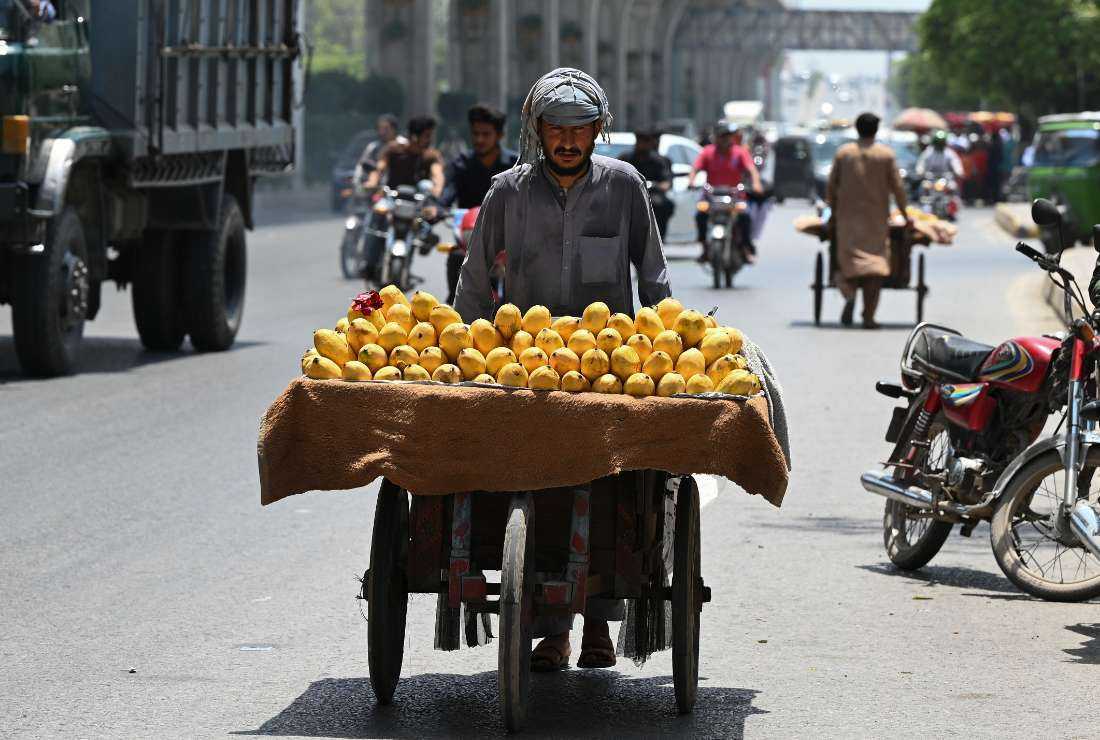 A vendor selling mangoes pushes a handcart while looking for customers along a road in Rawalpindi on June 9