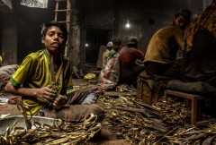 UN agency says solution to child labor is helping governments